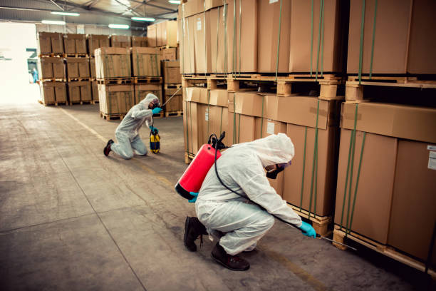 Best Local Pest Control Services  in Lockport, IL