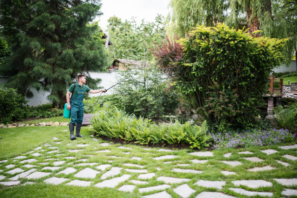 Best Affordable Pest Control Services  in Lockport, IL