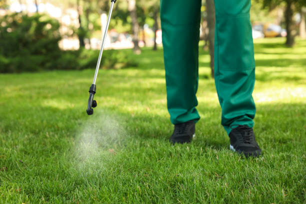 Pest Prevention Services in Lockport, IL