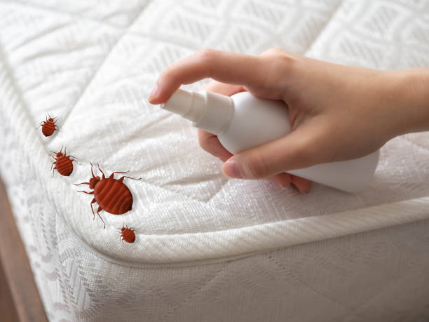 Best Best Pest Control Companies  in Lockport, IL
